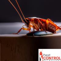 I Cockroach Control Melbourne image 2